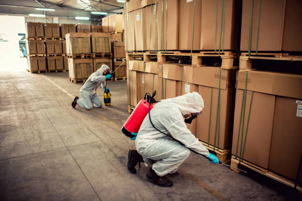 Best Best Pest Control Companies  in Council Bluffs, IA