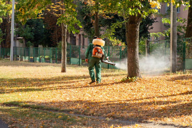 Best Pest Inspection Near Me  in Council Bluffs, IA